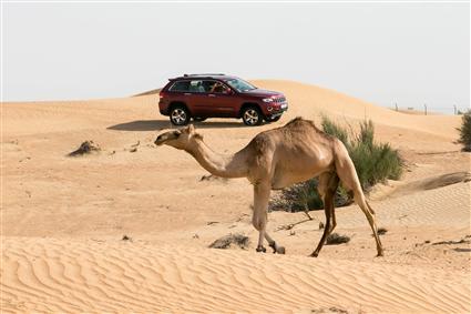 جيب غراند شيروكي تتألق على الهضبات الصحراوية